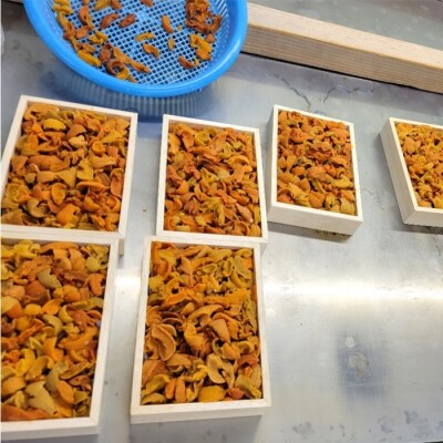 ＜12/17まで年内配送＞エゾバフンウニ(赤)130～140g[11月上旬以降発送] A-71046