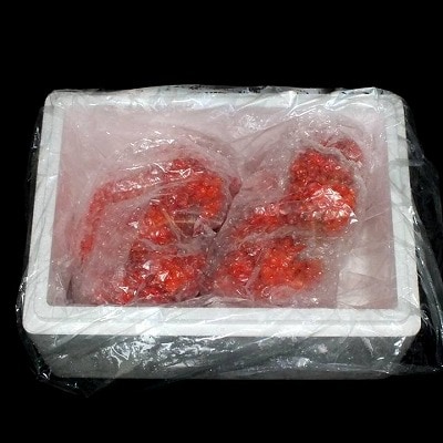 ＜12/21まで年内配送＞★ボイル花咲がに2尾(計約700g) G-42010