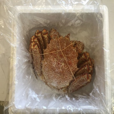 ＜12/21まで年内配送＞★ボイル毛蟹600g～1kg×1尾 B-27009