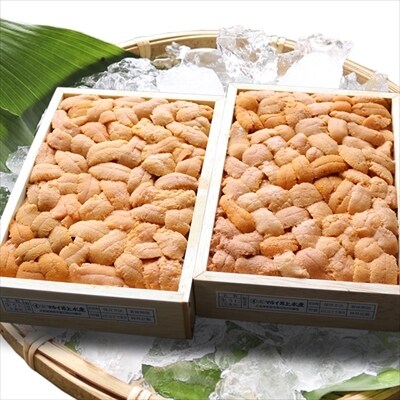 ＜12/17まで年内配送＞エゾバフンウニバラ140～150g×2折[11月中旬発送] F-71012