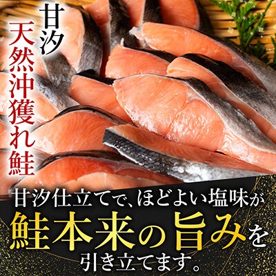 ＜12/10まで年内配送＞甘汐天然沖獲れ鮭1切×18P(約1kg) A-11132