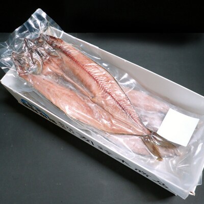 ＜12/10まで年内配送＞開き縞ほっけ一夜干し2枚 G-11055