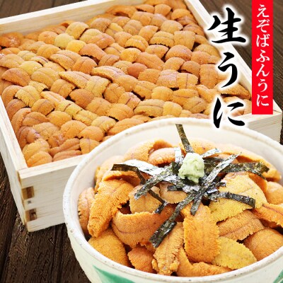 ＜12/14まで年内配送＞エゾバフンウニバラ詰め600g×1折[11月中旬以降発送] D-73006