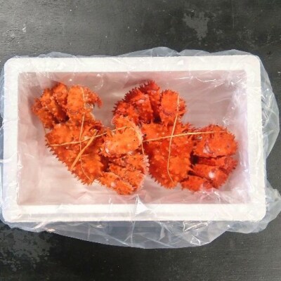 ＜12/21まで年内配送＞★花咲ガニ300g×2尾 A-57060