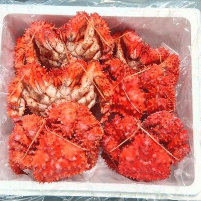 ＜12/21まで年内配送＞★花咲ガニ300g×10尾 C-57047