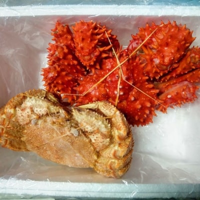 ＜12/21まで年内配送＞★花咲ガニ1尾・毛がに1尾(2種計1.3kg前後) D-57039