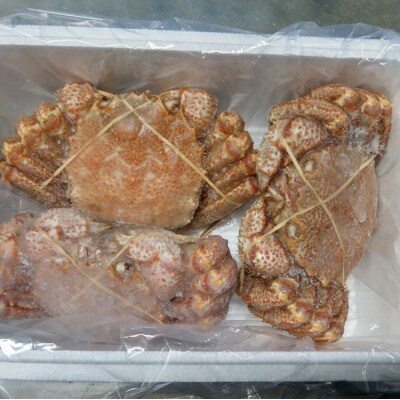 ＜12/21まで年内配送＞★毛がに3尾(計2kg前後) E-57007