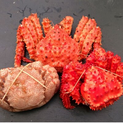 ＜12/21まで年内配送＞本タラバガニ・花咲ガニ・毛ガニ各1尾(計2.8kg前後) D-57004