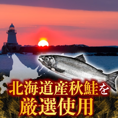 ＜12/10まで年内配送＞鮭とば600g(300g×2P) A-11125
