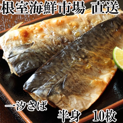 ＜12/10まで年内配送＞無添加天然サバフィーレ10枚 G-11022