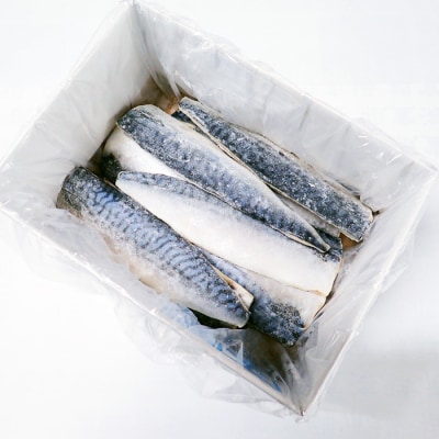 ＜12/10まで年内配送＞無添加天然サバフィーレ10枚 G-11022