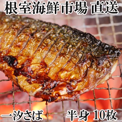 ＜12/10まで年内配送＞無添加天然サバフィーレ10枚 G-14022