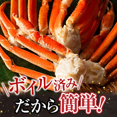 ＜12/10まで年内配送＞ボイル本ずわいがに脚5肩(計約1.2kg) A-11246