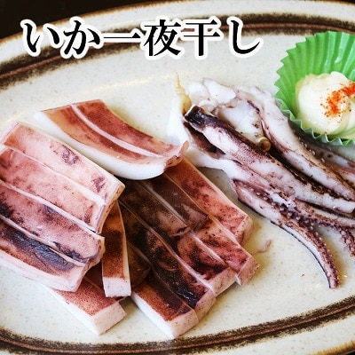 ＜12/17まで年内配送＞いか一夜干し2枚×5P B-32051