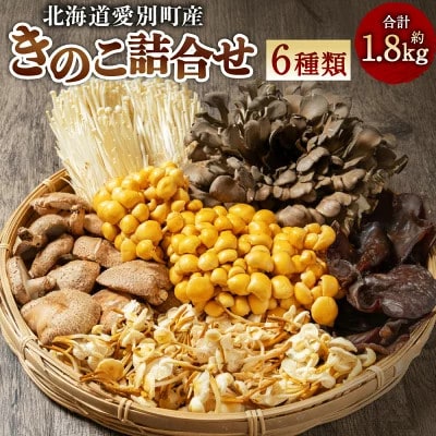 きのこ詰合せ(6種類)セット 約1.8kg【B05201】