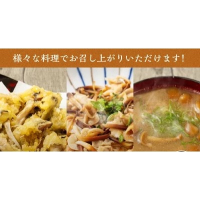 きのこ詰合せ(6種類)セット 約1.8kg【B05201】