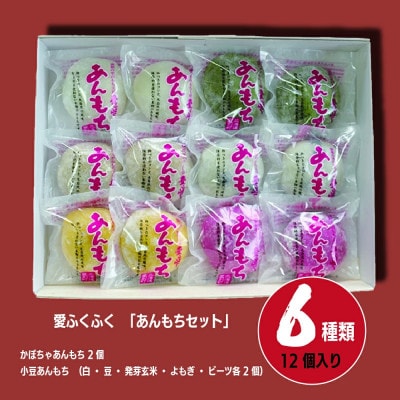 【E13203】愛ふくふく「あんもち(6種類12個入り)セット