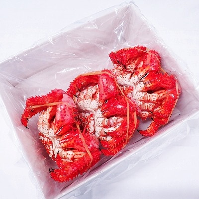 ＜12/10まで年内配送＞★花咲ガニ400～500g×3尾 B-11119