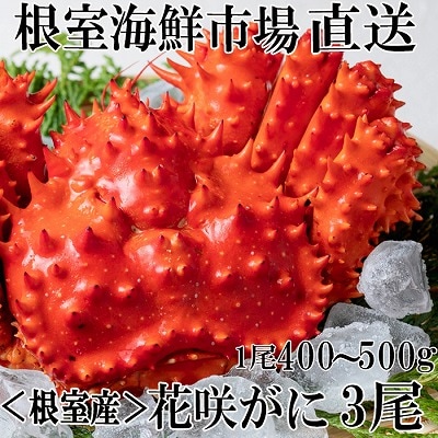 ＜12/10まで年内配送＞★花咲ガニ400～500g×3尾 B-14122