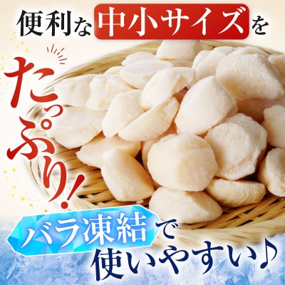 ＜12/10まで年内配送＞＼漁業者応援品/お刺身用ほたて貝柱500g A-28002