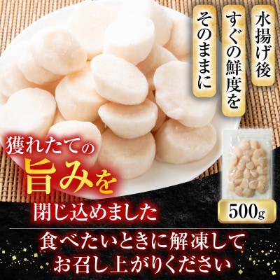 ＜12/10まで年内配送＞＼漁業者応援品/お刺身用ほたて貝柱500g A-11002