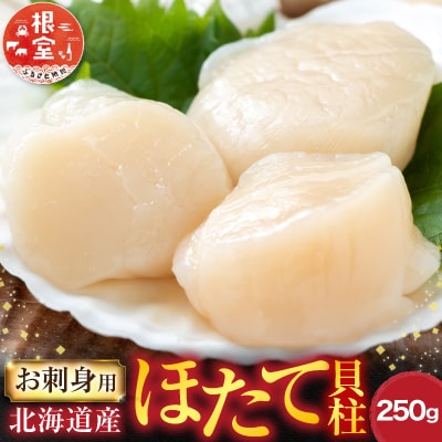 ＜12/10まで年内配送＞＼漁業者応援品/刺身用ほたて貝柱250g G-28052