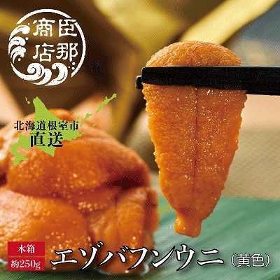 <12/17まで年内配送>エゾバフンウニ(黄色)約250g×1折 D-22001