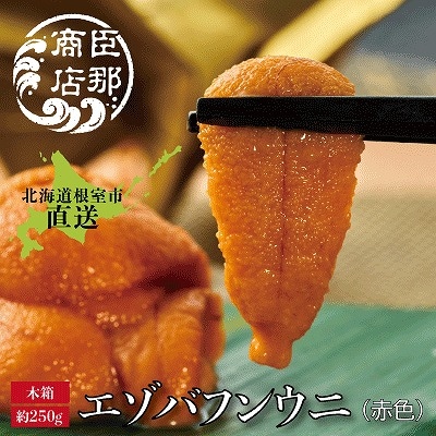 ＜12/17まで年内配送＞エゾバフンウニ(赤色)約250g×1折 F-22001