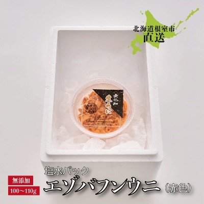 ＜12/17まで年内配送＞エゾバフンウニ(赤色)塩水パック100～110g×1パック B-22001