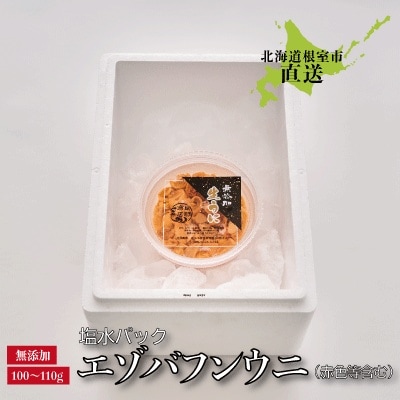 ＜12/17まで年内配送＞エゾバフンウニ(赤色等含む)塩水パック100～110g A-22001