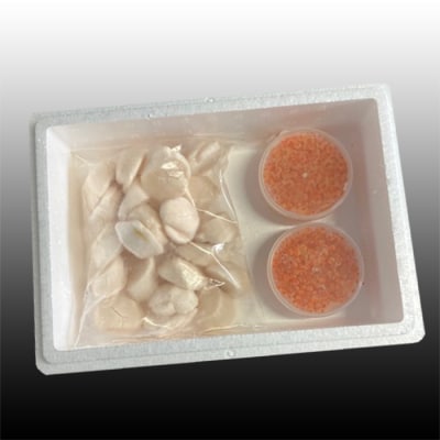 ＜12/21まで年内配送＞いくら醤油漬け100g×2P、ほたて貝柱500g×1P C-30041