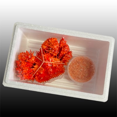 ＜12/21まで年内配送＞花咲かに300g～450g前後×1尾・いくら100g×1P A-36027