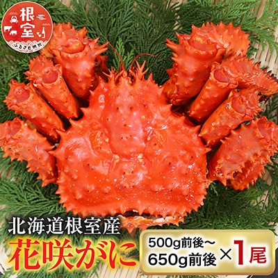 ＜12/21まで年内配送＞★花咲かに500g前後～650g前後×1尾 A-36054