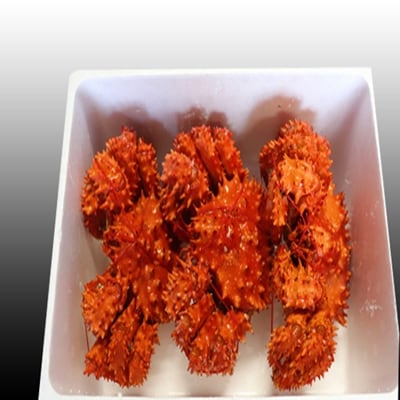 ＜12/21まで年内配送＞★花咲かに300g前後～450g前後×3尾 A-70001