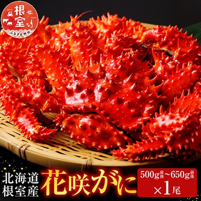 ＜12/21まで年内配送＞★花咲かに500g前後～650g前後×1尾 A-70054