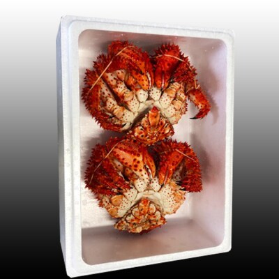 ＜12/21まで年内配送＞★花咲かに500g前後～650g前後×2尾 B-70002