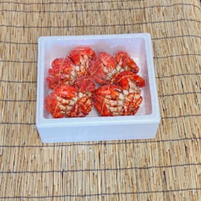 ＜12/21まで年内配送＞★花咲かに400g前後～500g前後×4尾 C-76039