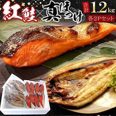＜12/21まで年内配送＞紅鮭切身8切・真ほっけ開き干し2枚セット(各約600g) G-07008