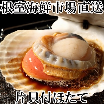 ＜12/10まで年内配送＞＼漁業者応援品/根室海鮮市場＜直送＞片貝ほたて10枚×2P A-28124