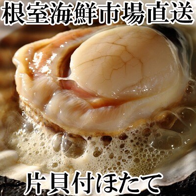 ＜12/10まで年内配送＞＼漁業者応援品/片貝ほたて10枚×2P A-14134