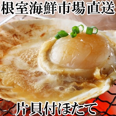 ＜12/10まで年内配送＞＼漁業者応援品/片貝ほたて10枚×2P A-11121