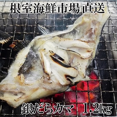 ＜12/10まで年内配送＞根室海鮮市場＜直送＞銀だらカマ1.2kg G-28008