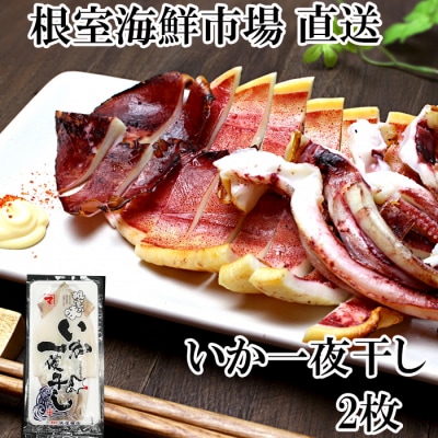 ＜12/10まで年内配送＞【北海道産】いか一夜干し2枚 G-11079