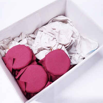 ＜12/10まで年内配送＞根室海鮮市場＜直送＞紅鮭焼ほぐし2本、焼きほぐし鮭1本 G-28078