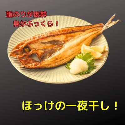 ＜12/21まで年内配送＞ほっけ一夜干し1枚×7P、さんま明太3P B-83007