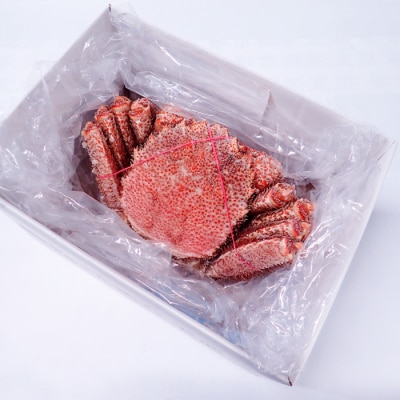 ＜12/10まで年内配送＞ボイル毛がに700～900g×1尾 C-11059