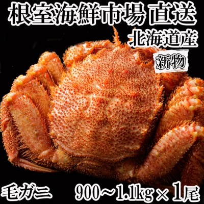 ＜12/10まで年内配送＞ボイル毛がに900g～1.1kg×1尾 F-11029