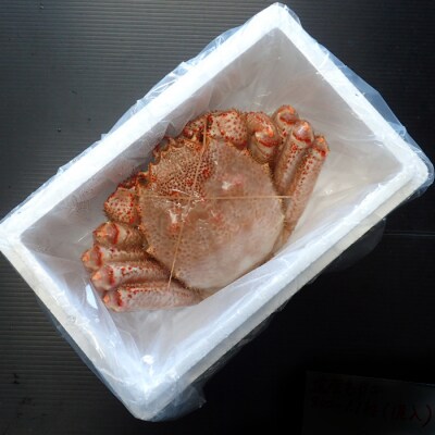 ＜12/10まで年内配送＞ボイル毛がに900g～1.1kg×1尾 F-11029