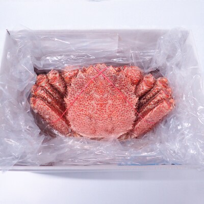 ＜12/10まで年内配送＞ボイル毛がに700～900g×1尾 C-14059