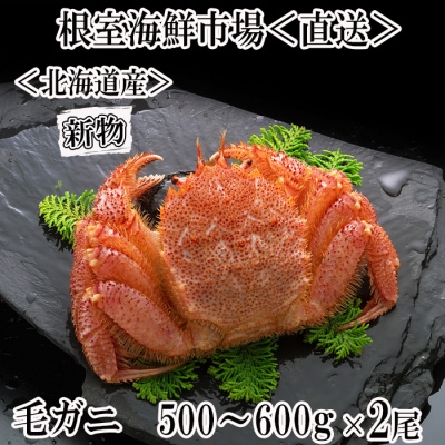＜12/10まで年内配送＞ボイル毛がに500～600g×2尾 F-14030